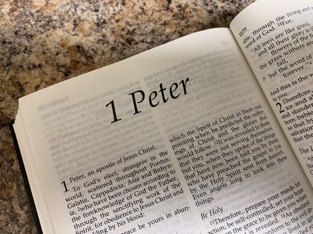 1 PETER 1